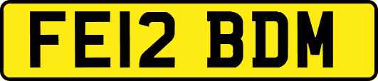 FE12BDM