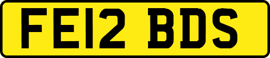 FE12BDS