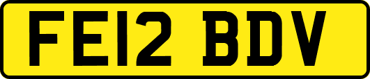 FE12BDV