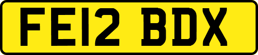 FE12BDX