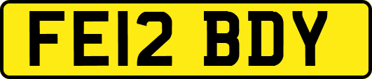 FE12BDY