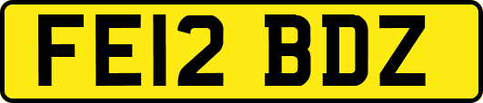 FE12BDZ