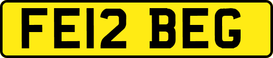 FE12BEG