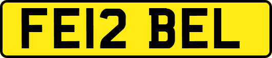 FE12BEL