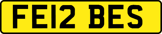 FE12BES