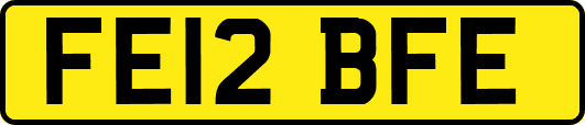 FE12BFE