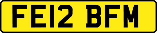 FE12BFM