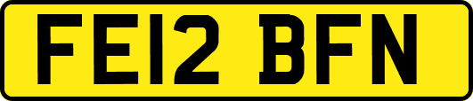FE12BFN