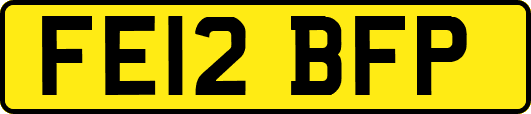 FE12BFP