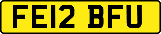 FE12BFU