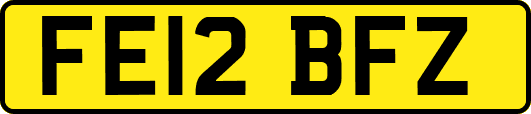 FE12BFZ