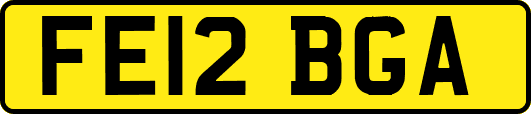 FE12BGA