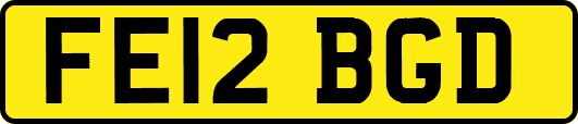 FE12BGD