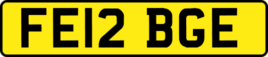 FE12BGE