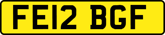 FE12BGF