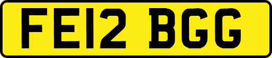FE12BGG