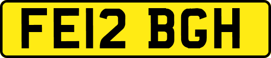 FE12BGH