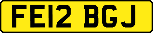 FE12BGJ