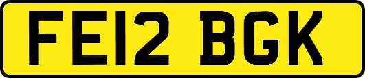 FE12BGK
