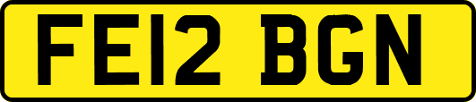 FE12BGN