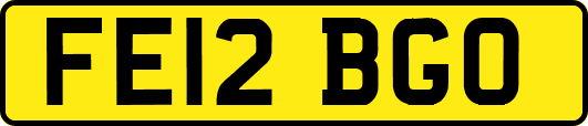 FE12BGO