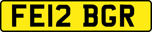 FE12BGR