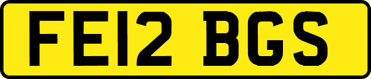 FE12BGS