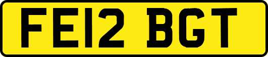 FE12BGT
