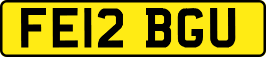 FE12BGU