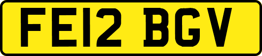 FE12BGV