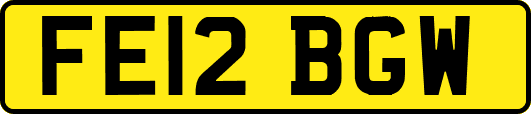 FE12BGW