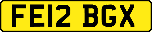 FE12BGX
