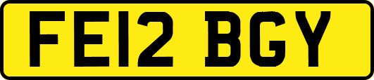 FE12BGY