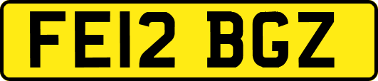 FE12BGZ