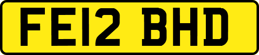 FE12BHD