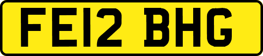 FE12BHG