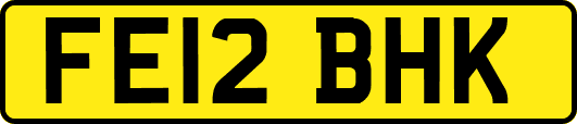 FE12BHK