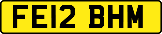 FE12BHM