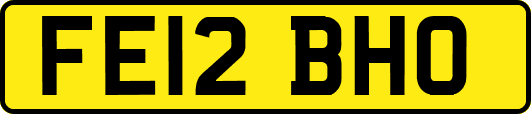 FE12BHO