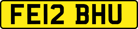 FE12BHU