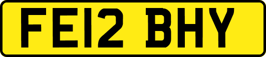 FE12BHY
