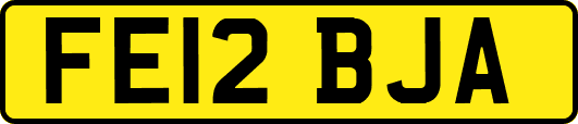 FE12BJA
