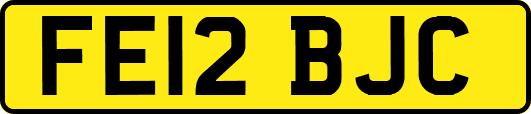 FE12BJC