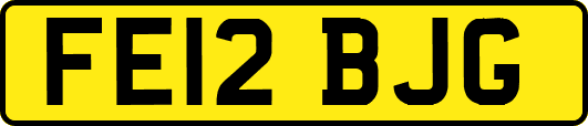 FE12BJG