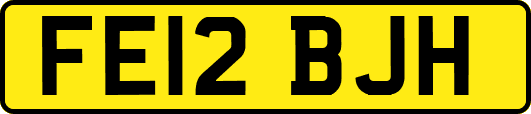 FE12BJH