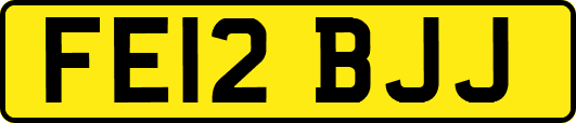 FE12BJJ