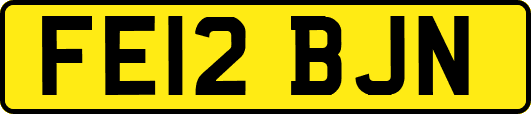 FE12BJN