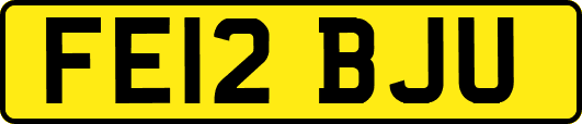 FE12BJU