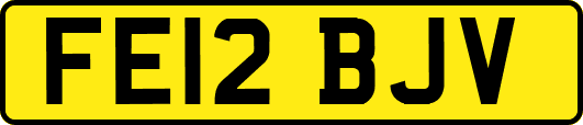FE12BJV