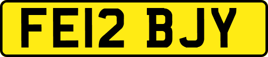 FE12BJY